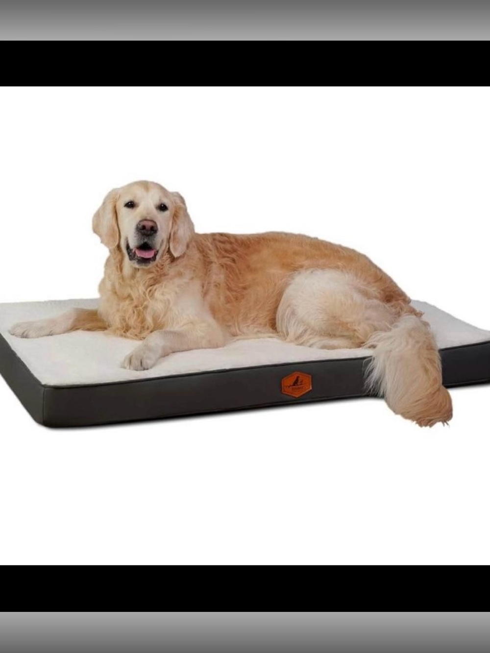 Luxury Orthopedic Dog Bed - Ivory washable Top with Dark Gray Sides